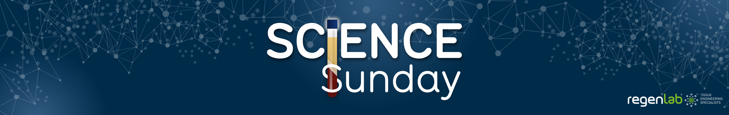 Banner Science Sunday Konzentration größer
