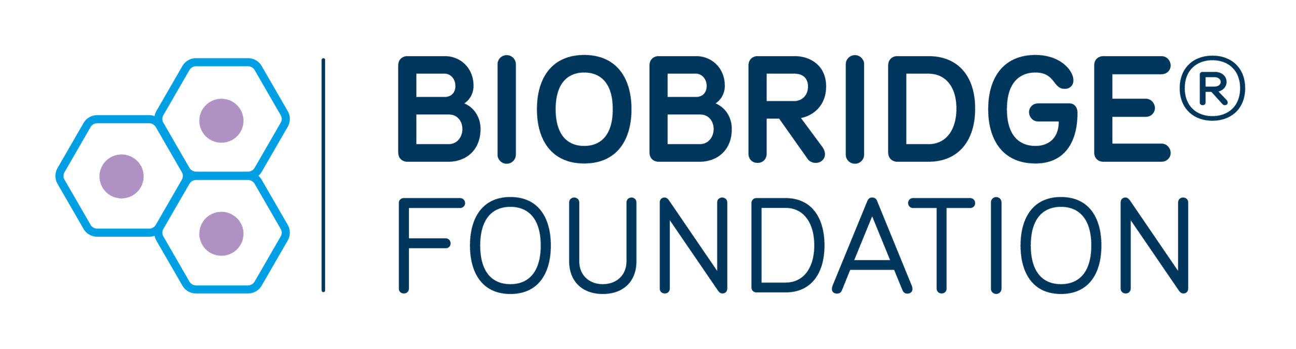 biobrigdge_foundation_logo